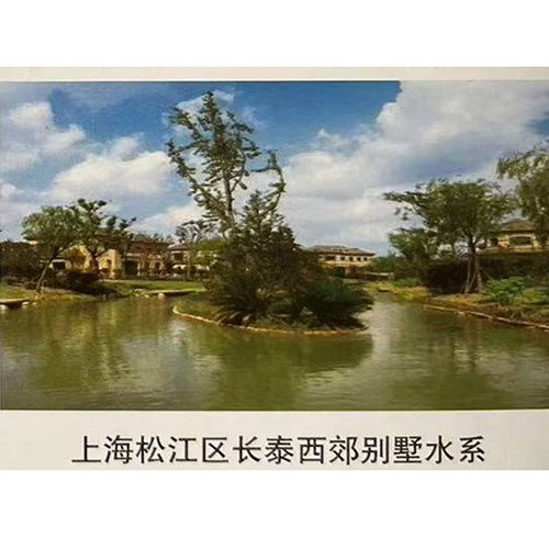 上海松江區長(cháng)泰西郊別墅水系