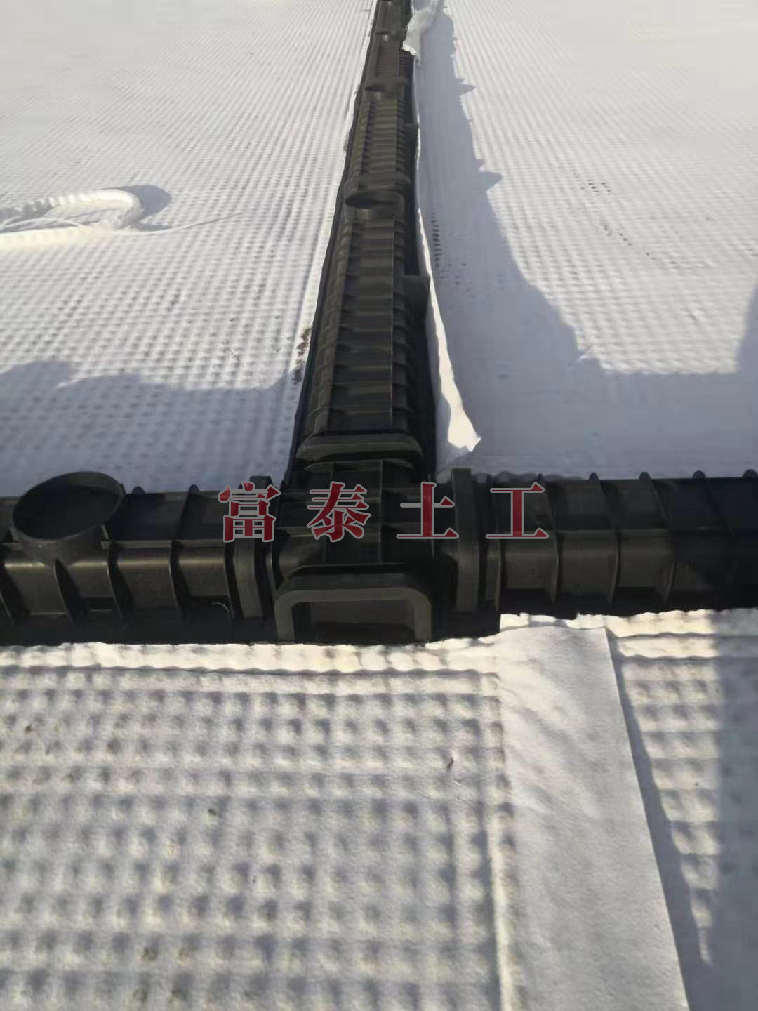 虹吸系統
