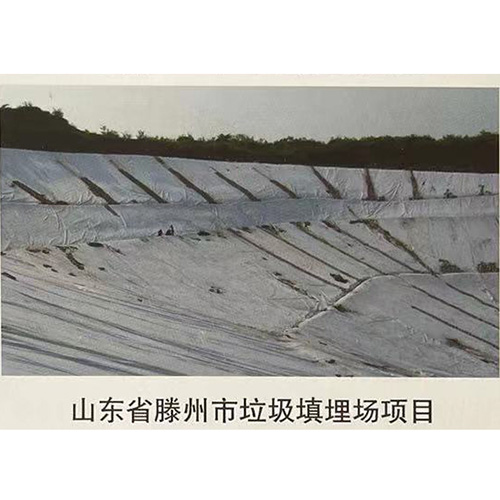 山東省滕州市垃圾填埋場(chǎng)項目