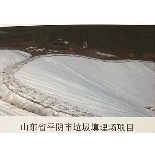山東省平陰市垃圾填埋場(chǎng)項目